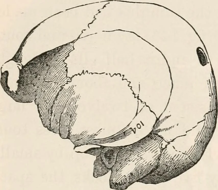 An illustration from Pre-historic times, as illustrated by ancient remains and the manners and customs of modern savages, 1892, leaf 200