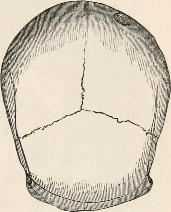 An illustration from Pre-historic times, as illustrated by ancient remains and the manners and customs of modern savages, 1892, leaf 200