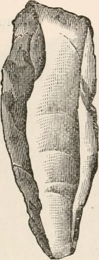 An illustration from Pre-historic times, as illustrated by ancient remains and the manners and customs of modern savages, 1892, leaf 202
