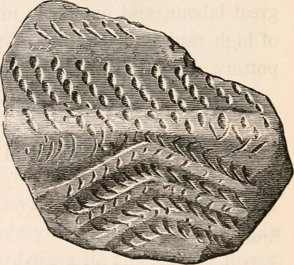 An illustration from Pre-historic times, as illustrated by ancient remains and the manners and customs of modern savages, 1892, leaf 203