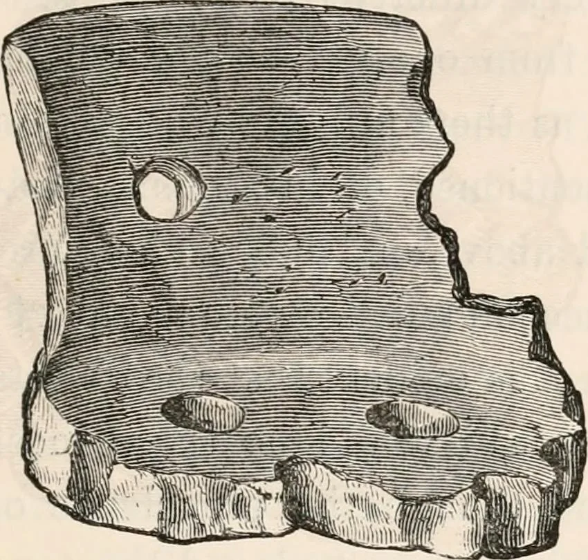 An illustration from Pre-historic times, as illustrated by ancient remains and the manners and customs of modern savages, 1892, leaf 204