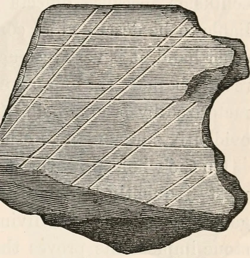 An illustration from Pre-historic times, as illustrated by ancient remains and the manners and customs of modern savages, 1892, leaf 204