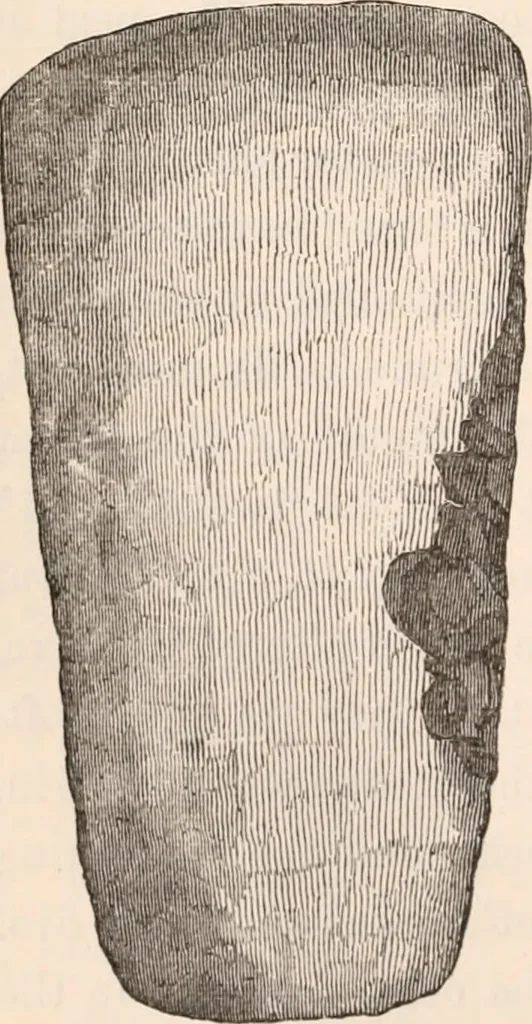 An illustration from Pre-historic times, as illustrated by ancient remains and the manners and customs of modern savages, 1892, leaf 229