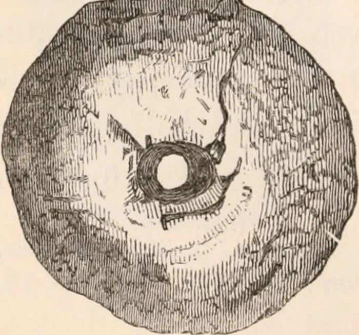 An illustration from Pre-historic times, as illustrated by ancient remains and the manners and customs of modern savages, 1892, leaf 231