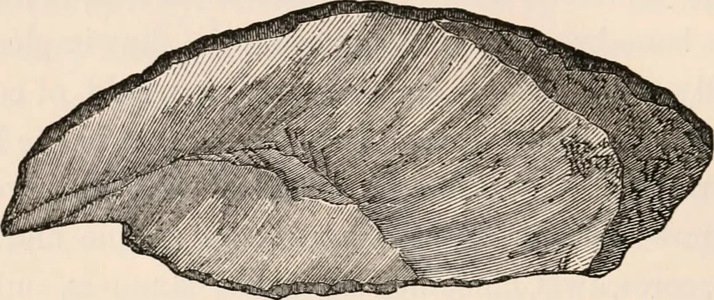 An illustration from Pre-historic times, as illustrated by ancient remains and the manners and customs of modern savages, 1892, leaf 363