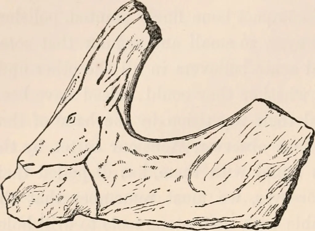 An illustration from Pre-historic times, as illustrated by ancient remains and the manners and customs of modern savages, 1892, leaf 367