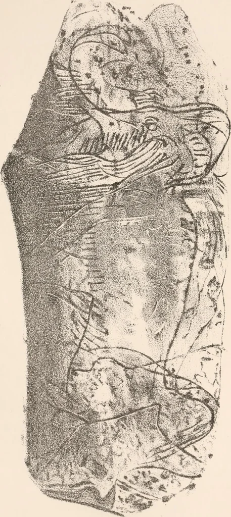 An illustration from Pre-historic times, as illustrated by ancient remains and the manners and customs of modern savages, 1892, leaf 369