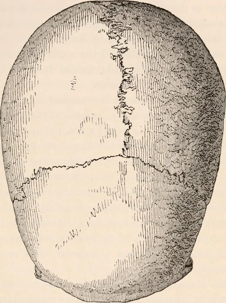 An illustration from Pre-historic times, as illustrated by ancient remains and the manners and customs of modern savages, 1892, leaf 373