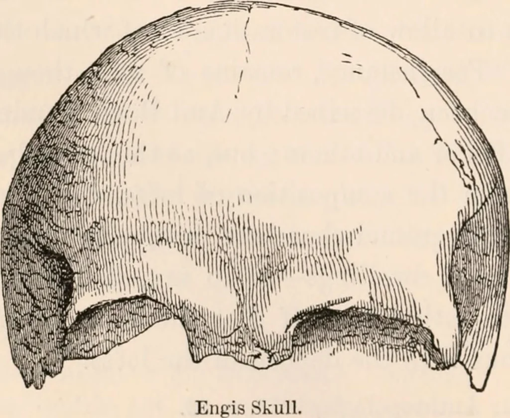 An illustration from Pre-historic times, as illustrated by ancient remains and the manners and customs of modern savages, 1892, leaf 373