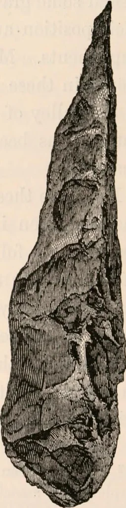 An illustration from Pre-historic times, as illustrated by ancient remains and the manners and customs of modern savages, 1892, leaf 383