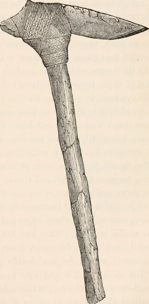 An illustration from Pre-historic times, as illustrated by ancient remains and the manners and customs of modern savages, 1892, leaf 508