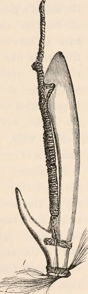 An illustration from Pre-historic times, as illustrated by ancient remains and the manners and customs of modern savages, 1892, leaf 511