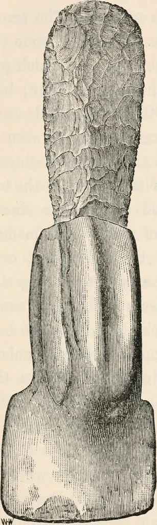 An illustration from Pre-historic times, as illustrated by ancient remains and the manners and customs of modern savages, 1892, leaf 538