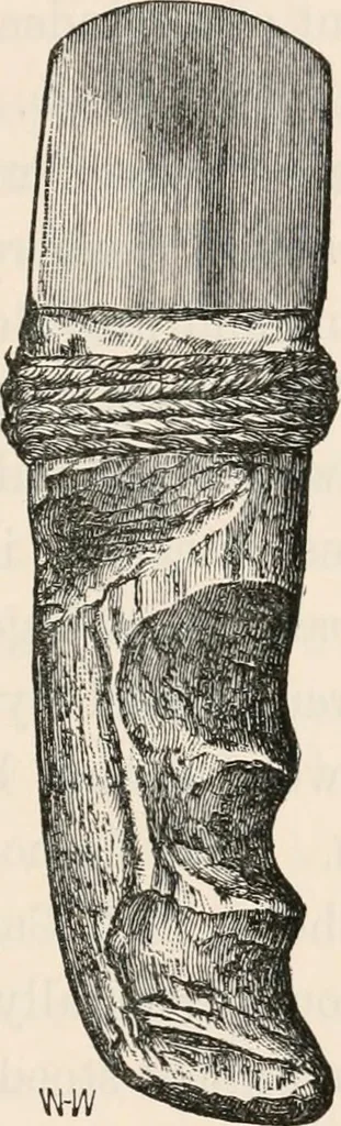 An illustration from Pre-historic times, as illustrated by ancient remains and the manners and customs of modern savages, 1892, leaf 538
