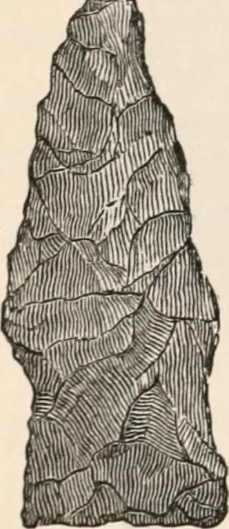 An illustration from Pre-historic times, as illustrated by ancient remains and the manners and customs of modern savages, 1892, leaf 539