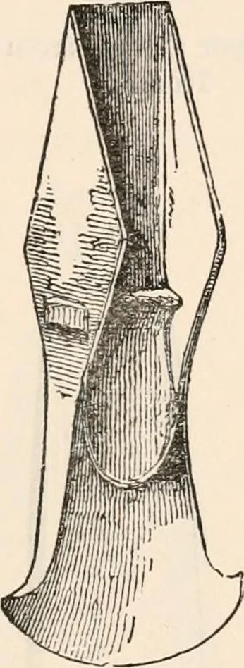 An illustration from Pre-historic times, as illustrated by ancient remains and the manners and customs of modern savages, 1892, leaf 58