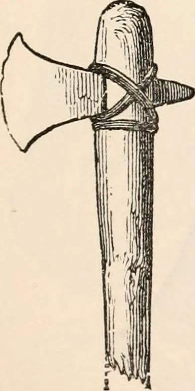 An illustration from Pre-historic times, as illustrated by ancient remains and the manners and customs of modern savages, 1892, leaf 58