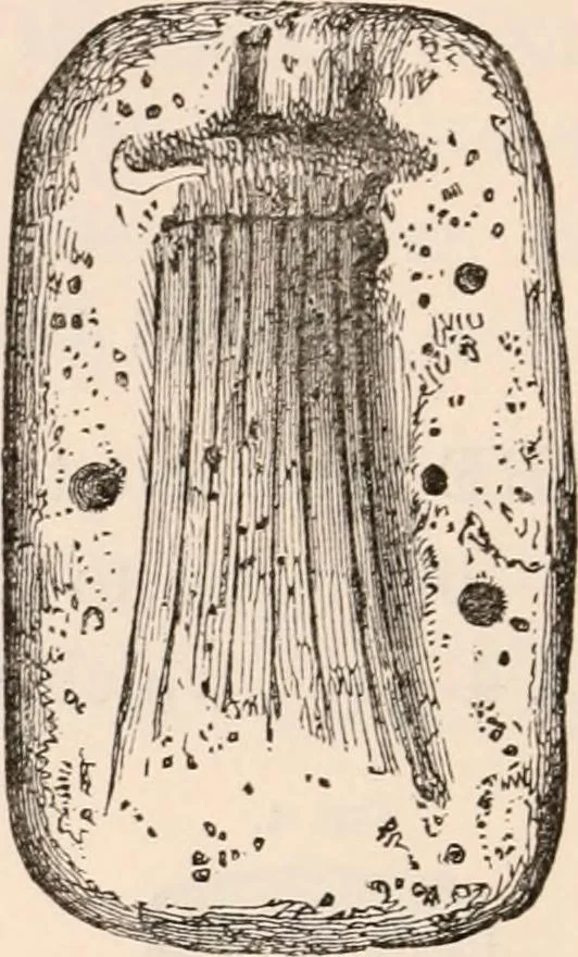 An illustration from Pre-historic times, as illustrated by ancient remains and the manners and customs of modern savages, 1892, leaf 59