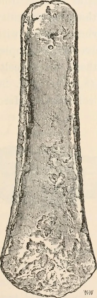 An illustration from Pre-historic times, as illustrated by ancient remains and the manners and customs of modern savages, 1892, leaf 60