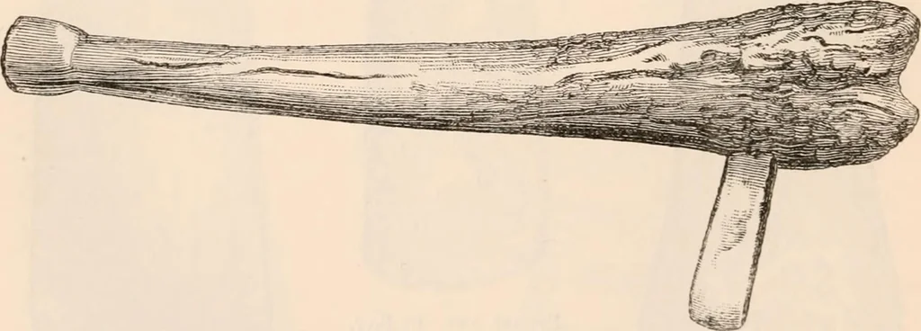 An illustration from Pre-historic times, as illustrated by ancient remains and the manners and customs of modern savages, 1892, leaf 61