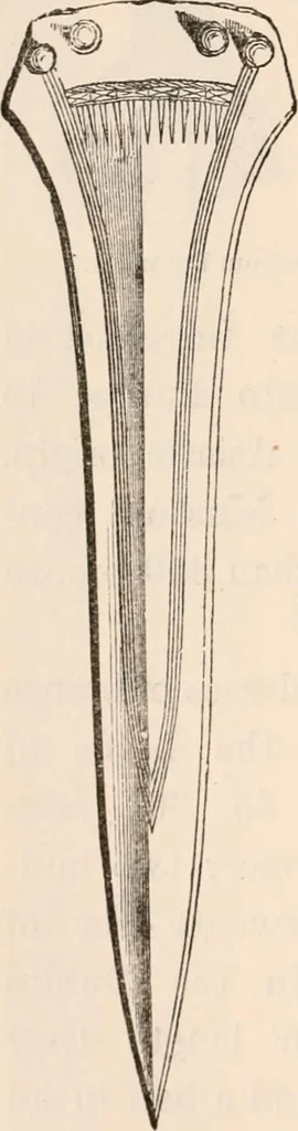 An illustration from Pre-historic times, as illustrated by ancient remains and the manners and customs of modern savages, 1892, leaf 65