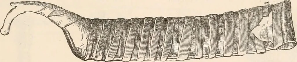 An illustration from Pre-historic times, as illustrated by ancient remains and the manners and customs of modern savages, 1892, leaf 68