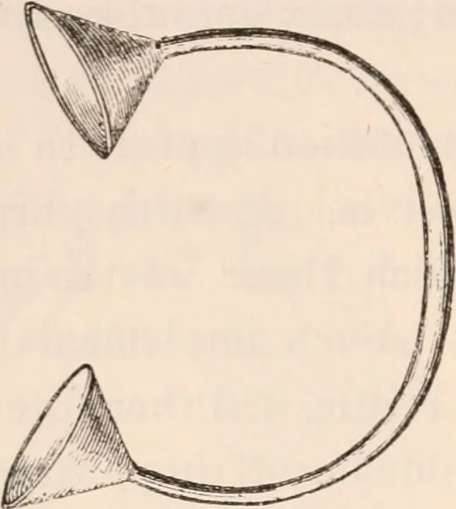 An illustration from Pre-historic times, as illustrated by ancient remains and the manners and customs of modern savages, 1892, leaf 75