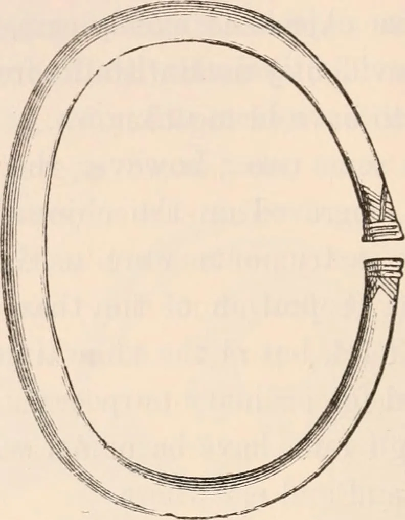 An illustration from Pre-historic times, as illustrated by ancient remains and the manners and customs of modern savages, 1892, leaf 75