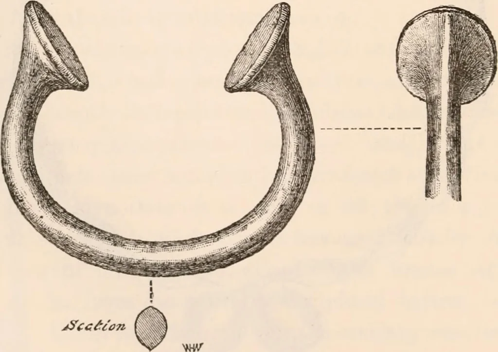 An illustration from Pre-historic times, as illustrated by ancient remains and the manners and customs of modern savages, 1892, leaf 75