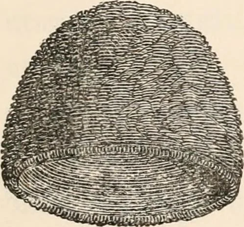 An illustration from Pre-historic times, as illustrated by ancient remains and the manners and customs of modern savages, 1892, leaf 80