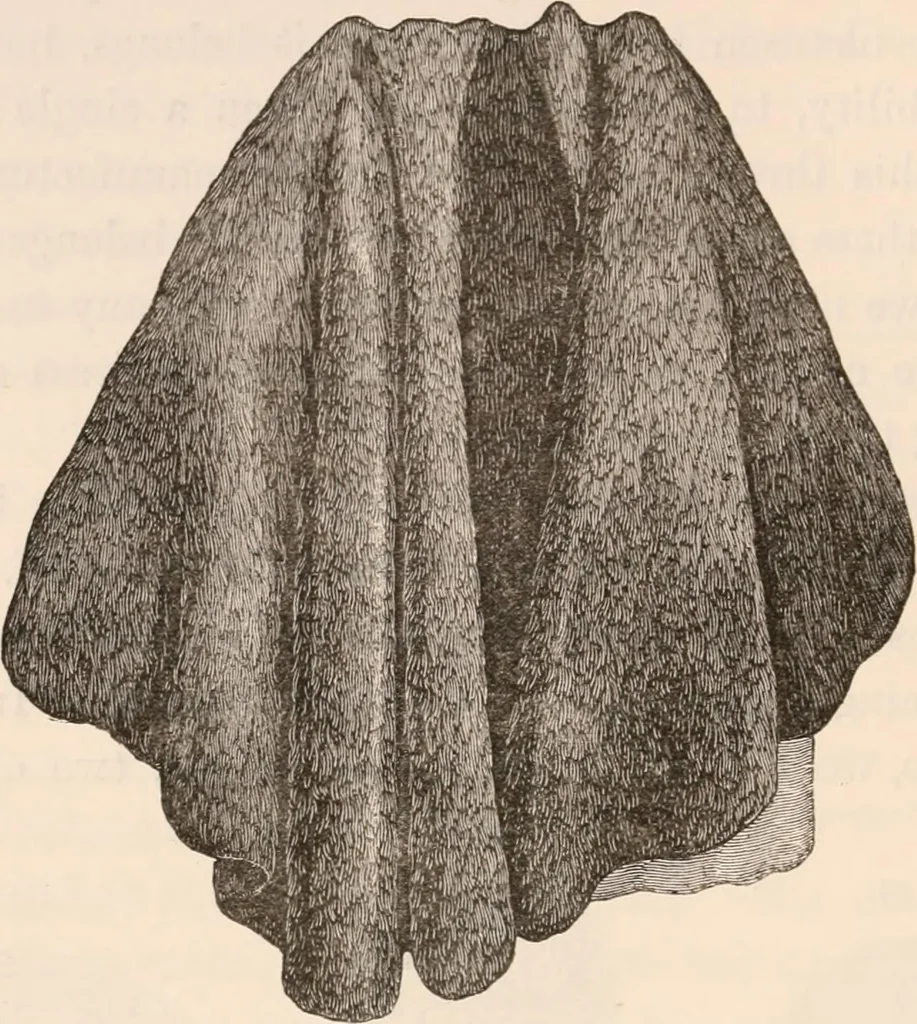 An illustration from Pre-historic times, as illustrated by ancient remains and the manners and customs of modern savages, 1892, leaf 81