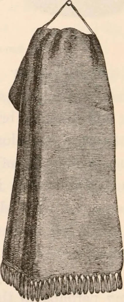 An illustration from Pre-historic times, as illustrated by ancient remains and the manners and customs of modern savages, 1892, leaf 81