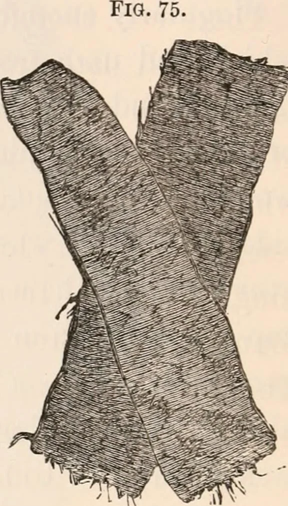 An illustration from Pre-historic times, as illustrated by ancient remains and the manners and customs of modern savages, 1892, leaf 83