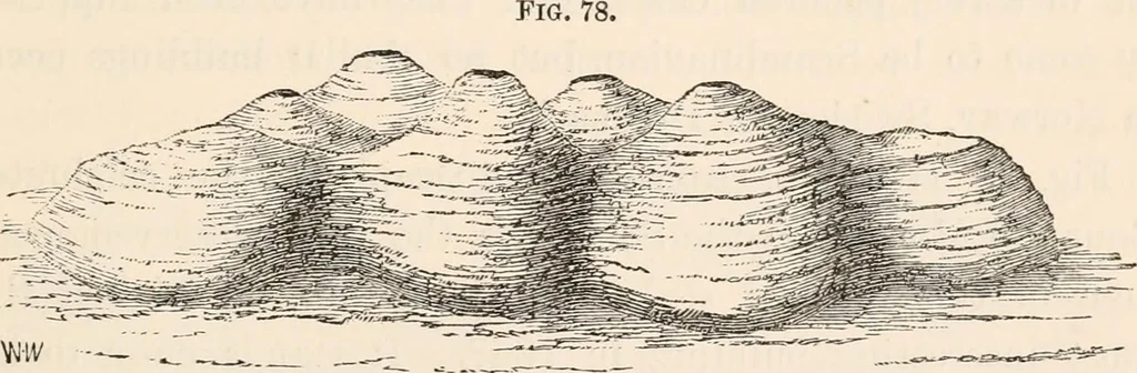 An illustration from Pre-historic times, as illustrated by ancient remains and the manners and customs of modern savages, 1892, leaf 88