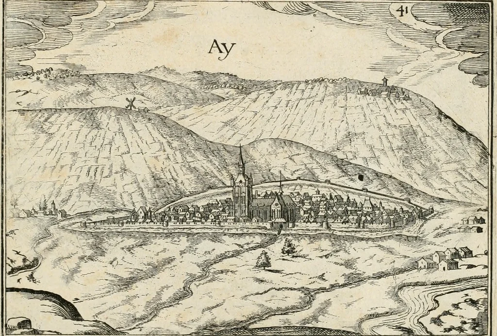 An illustration from Premiere[-seconde] partie, Les plans et profilz de toutes les principalles villes et lieux considerables de France : ensemble les cartes generalles de chascune prouince & les particulières de chasque gouuernement d'icelles, 1636, leaf 246
