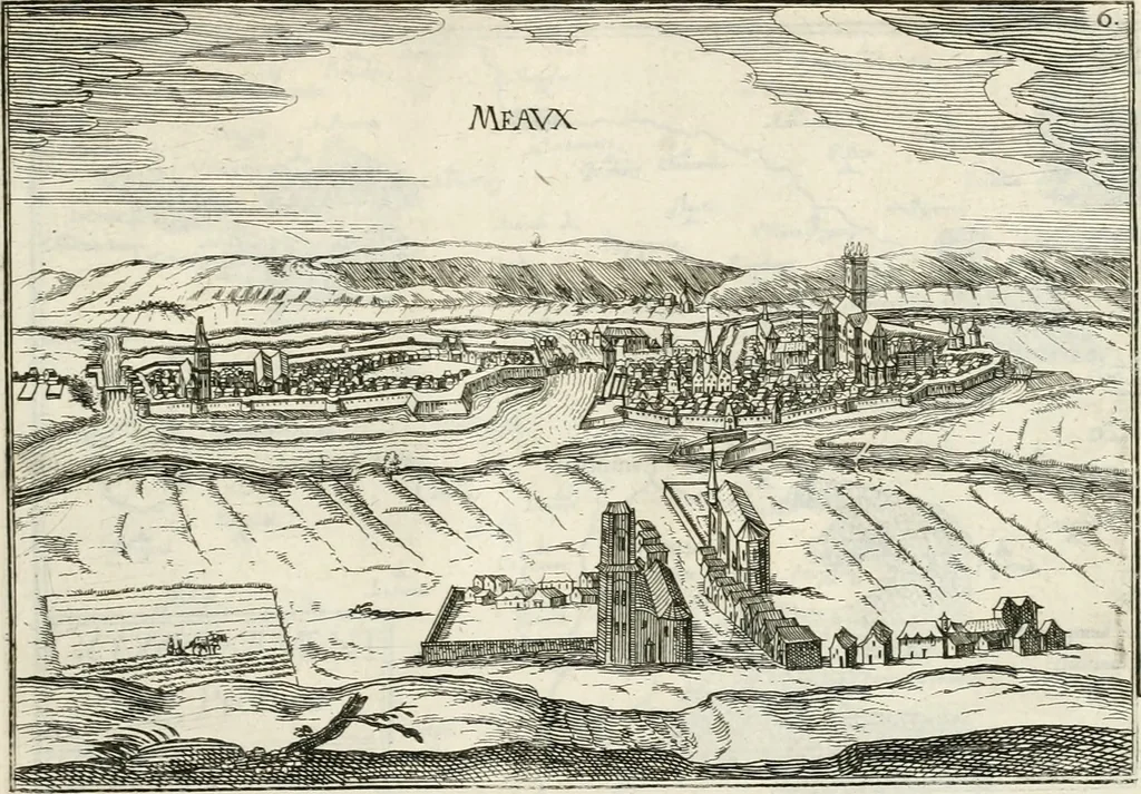 An illustration from Premiere[-seconde] partie, Les plans et profilz de toutes les principalles villes et lieux considerables de France : ensemble les cartes generalles de chascune prouince & les particulières de chasque gouuernement d'icelles, 1636, leaf 484