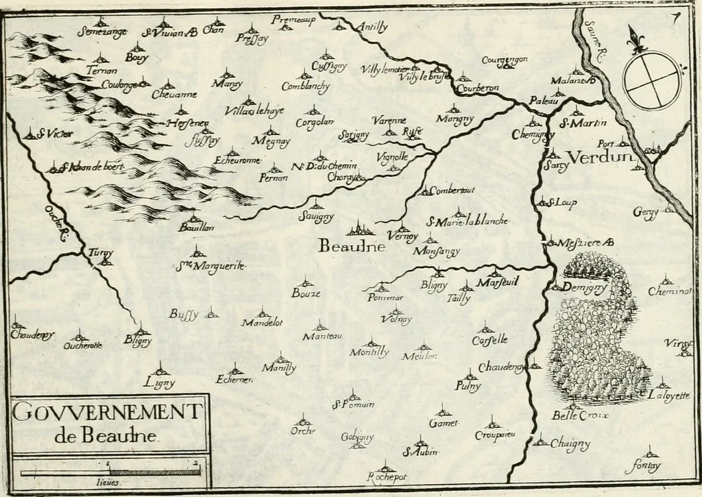 An illustration from Premiere[-seconde] partie, Les plans et profilz de toutes les principalles villes et lieux considerables de France : ensemble les cartes generalles de chascune prouince & les particulières de chasque gouuernement d'icelles, 1636, leaf 566