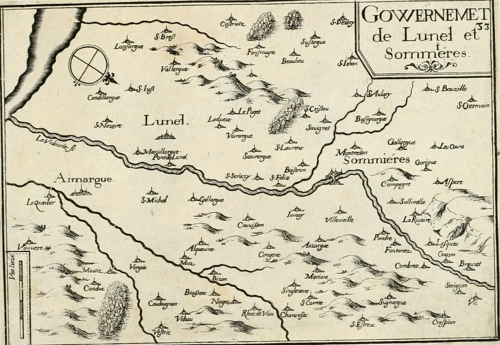 An illustration from Premiere[-seconde] partie, Les plans et profilz de toutes les principalles villes et lieux considerables de France : ensemble les cartes generalles de chascune prouince & les particulières de chasque gouuernement d'icelles, 1636, leaf 800
