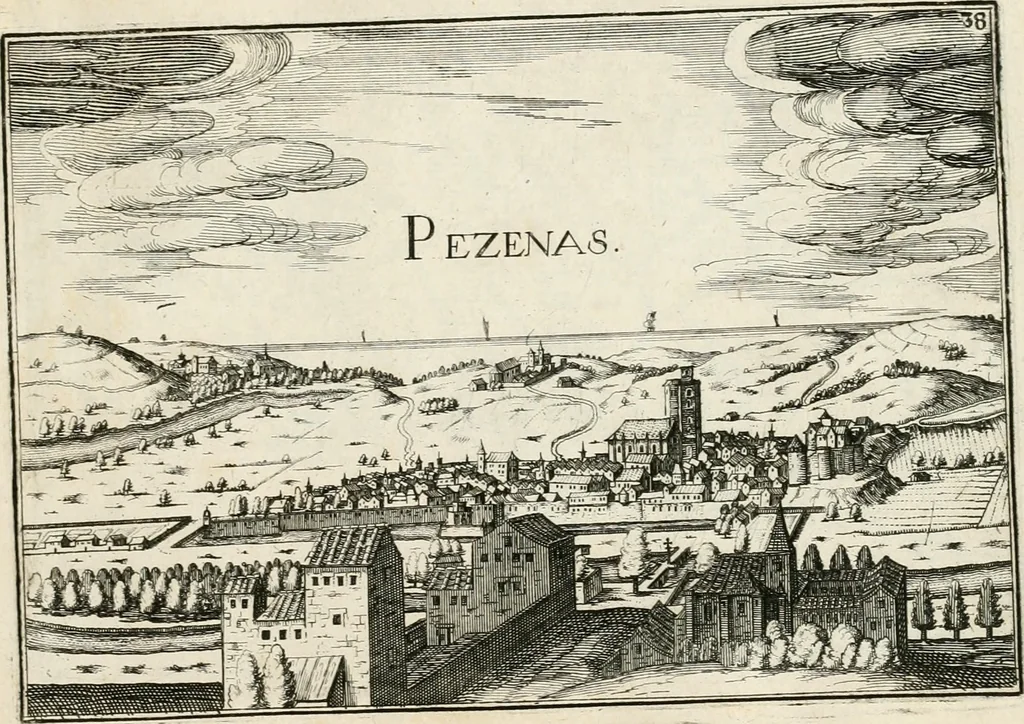 An illustration from Premiere[-seconde] partie, Les plans et profilz de toutes les principalles villes et lieux considerables de France : ensemble les cartes generalles de chascune prouince & les particulières de chasque gouuernement d'icelles, 1636, leaf 810