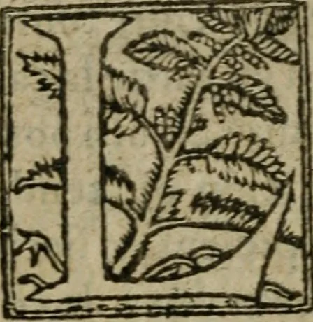 An illustration from Premier livre d'Amadis de Gaule;, 1560, leaf 11
