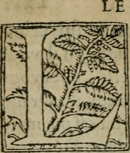 An illustration from Premier livre d'Amadis de Gaule;, 1560, leaf 149