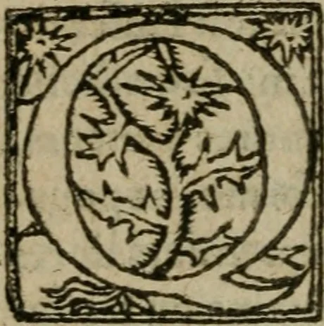 An illustration from Premier livre d'Amadis de Gaule;, 1560, leaf 15