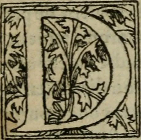 An illustration from Premier livre d'Amadis de Gaule;, 1560, leaf 163
