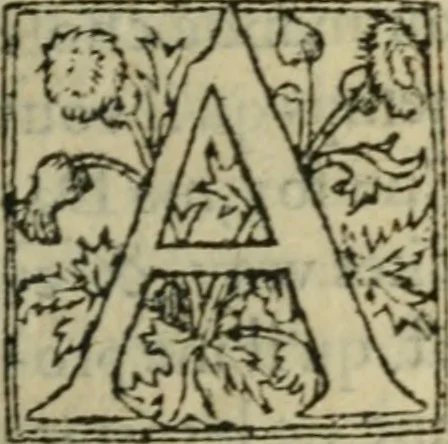 An illustration from Premier livre d'Amadis de Gaule;, 1560, leaf 198