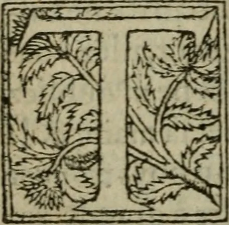 An illustration from Premier livre d'Amadis de Gaule;, 1560, leaf 215