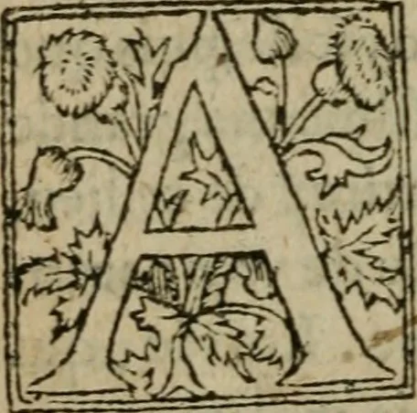 An illustration from Premier livre d'Amadis de Gaule;, 1560, leaf 229