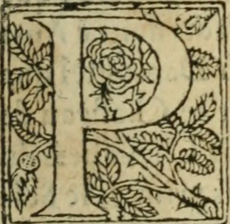 An illustration from Premier livre d'Amadis de Gaule;, 1560, leaf 246