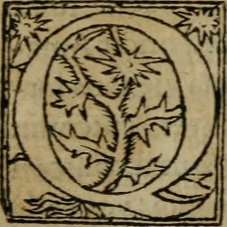 An illustration from Premier livre d'Amadis de Gaule;, 1560, leaf 259