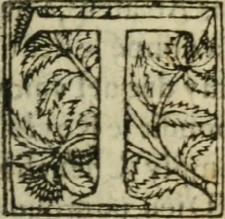 An illustration from Premier livre d'Amadis de Gaule;, 1560, leaf 288