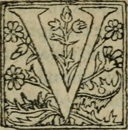 An illustration from Premier livre d'Amadis de Gaule;, 1560, leaf 31